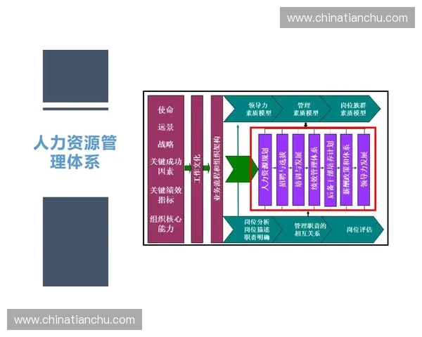 体育人力资源管理创新与人才发展模式研究探索